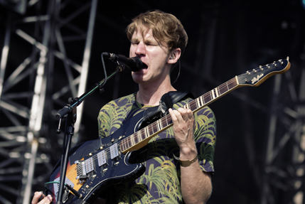 the wombats